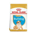 Royal Canin Bulldog Puppy