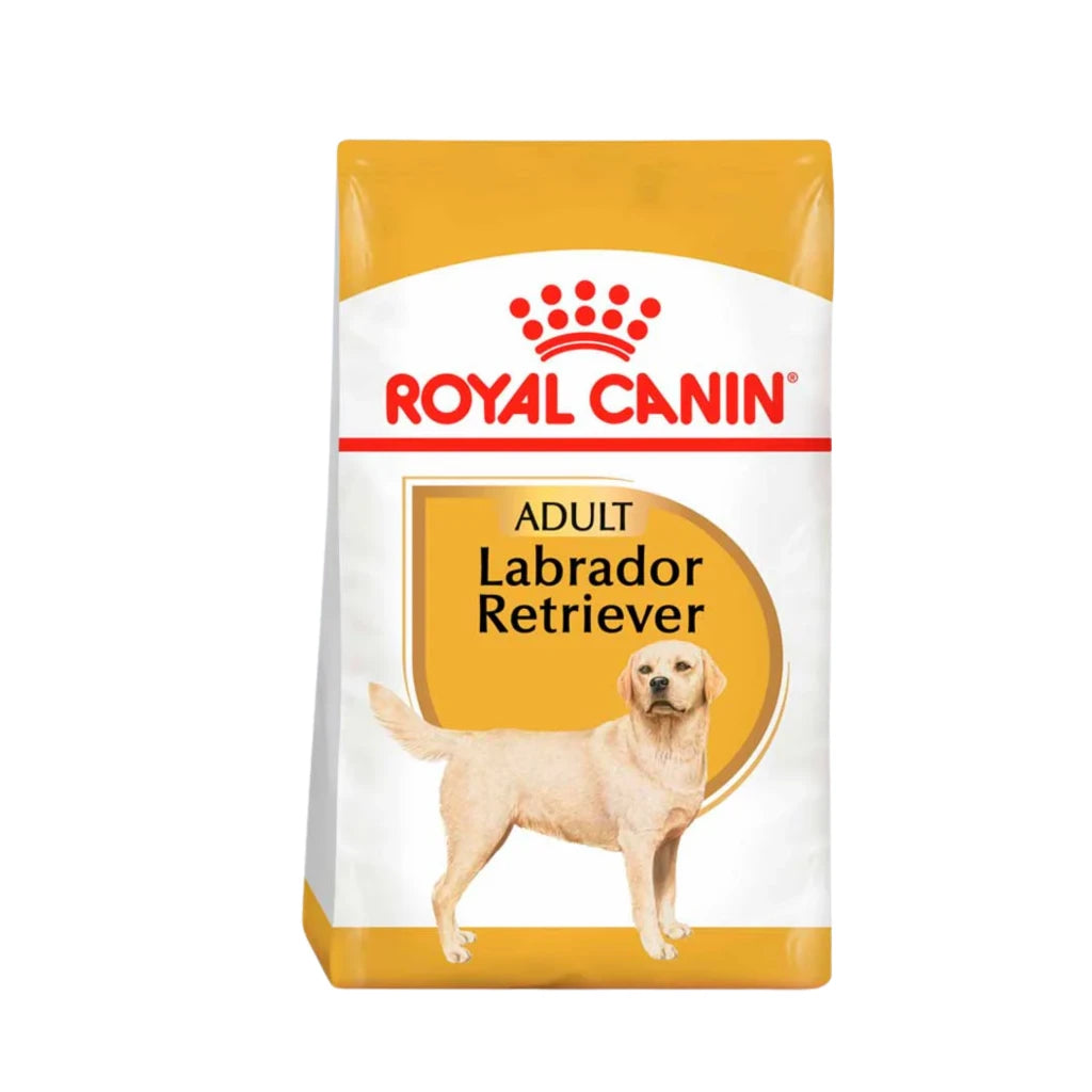 Royal Canin Labrador Retriever Adult