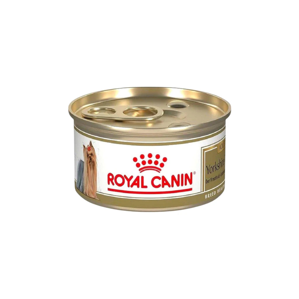 Royal Canin Yorkshire Adult Loaf in Sauce