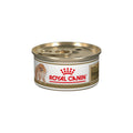 Royal Canin Pomeranian Loaf in Sauce