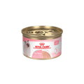 Royal Canin Kitten Loaf in Sauce