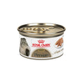 Royal Canin Persian Loaf in Sauce