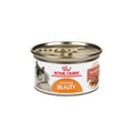 Royal Canin Hair & Skin Care Thin Slices