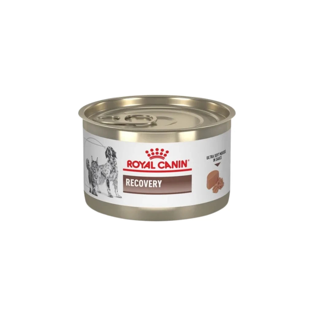 Royal Canin Recovery Lata