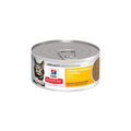 Hill's Science Diet Urinary Hairball Control Lata