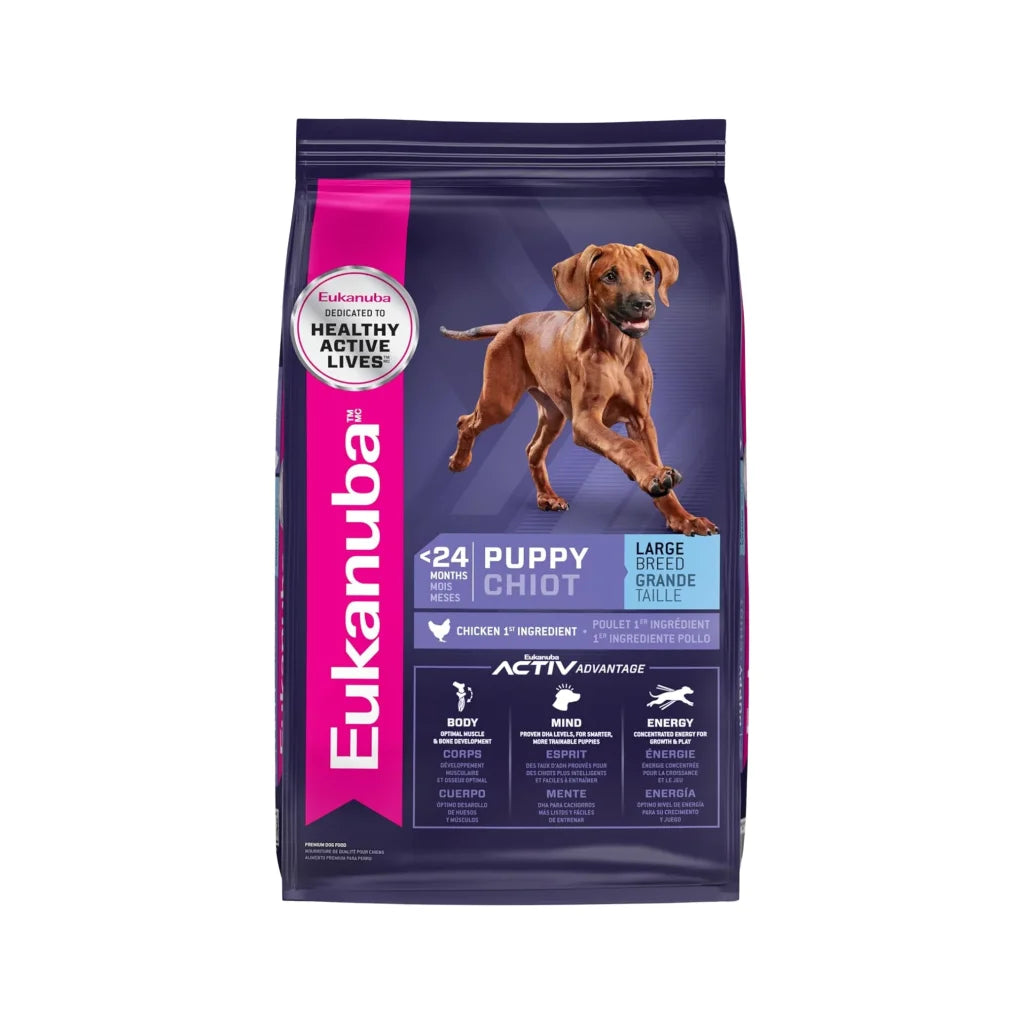 Eukanuba Puppy Large Breed
