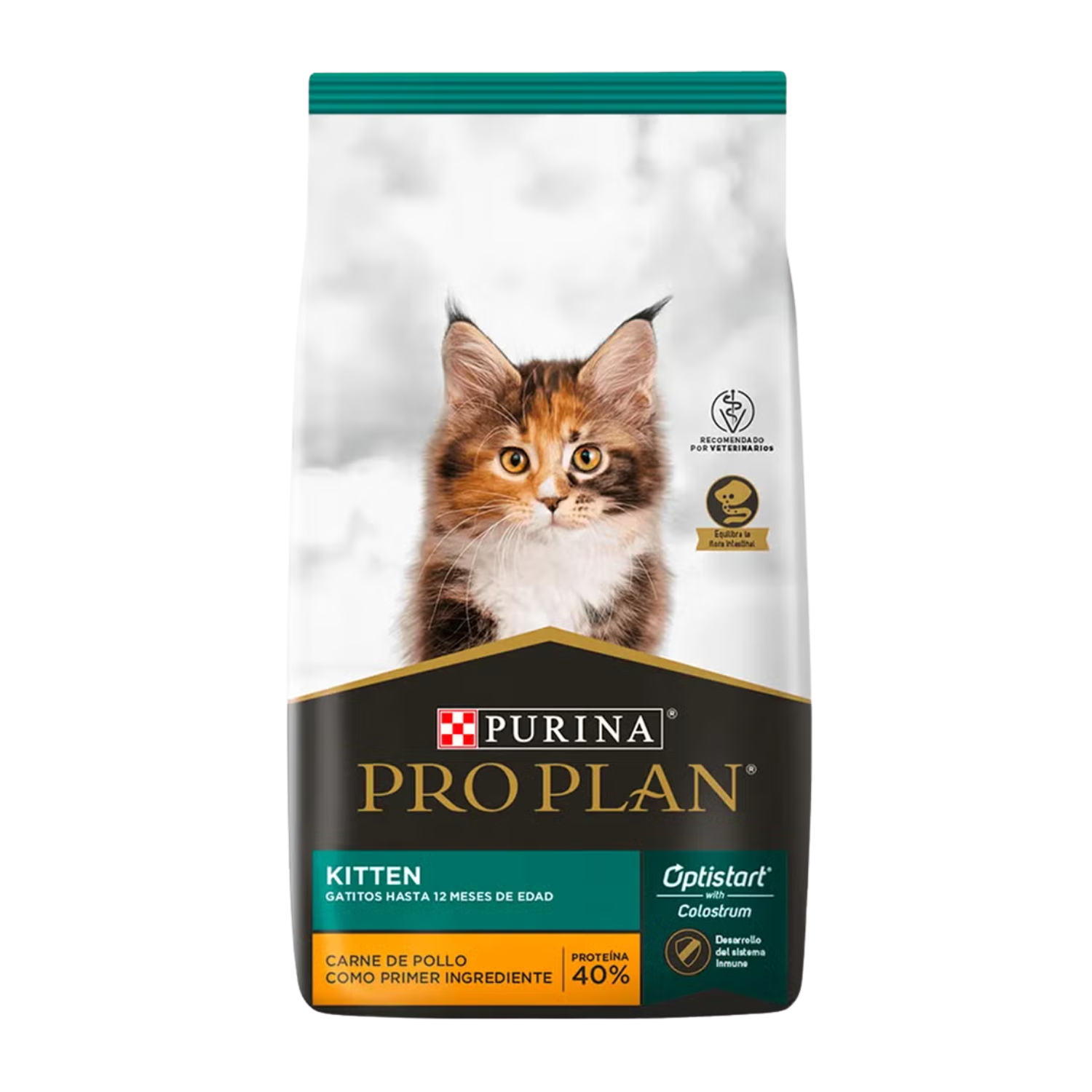 Pro Plan Kitten