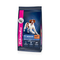 Eukanuba Senior Medium Breed