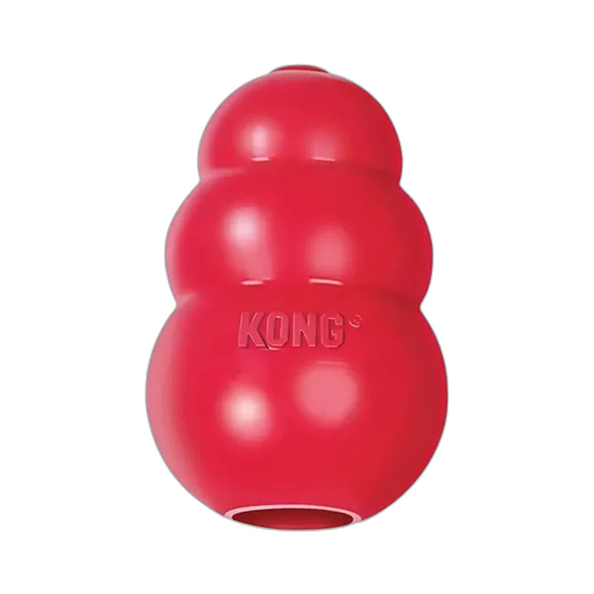 KONG Clásico Especies Pequeñas