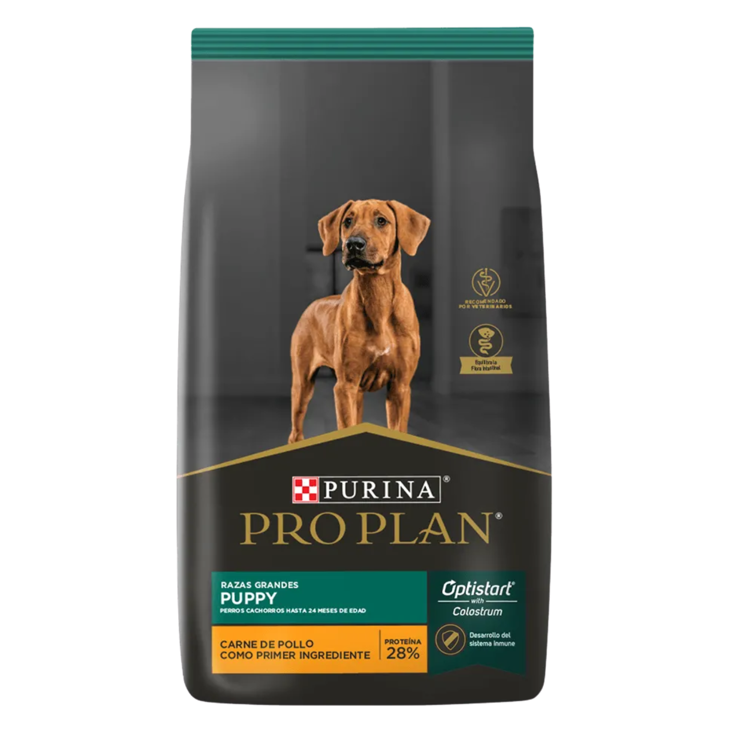 Pro Plan Cachorro Razas Grandes