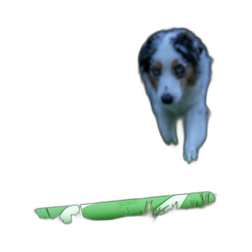 Croquetas Chuckit! Chuckit! Max Glow Ultra Fetch Stick (Secundaria)