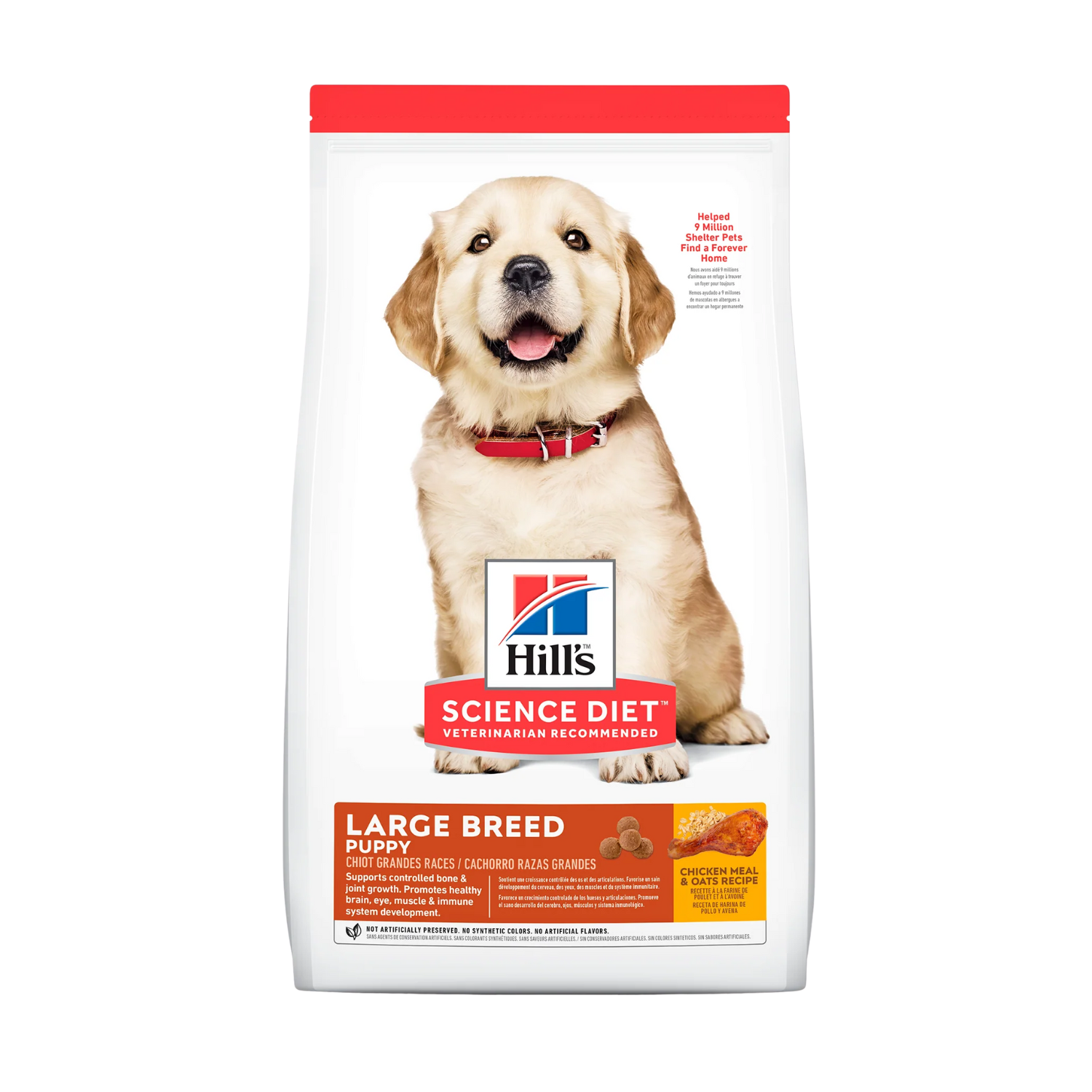 Hill’s Puppy Large Breed Pollo