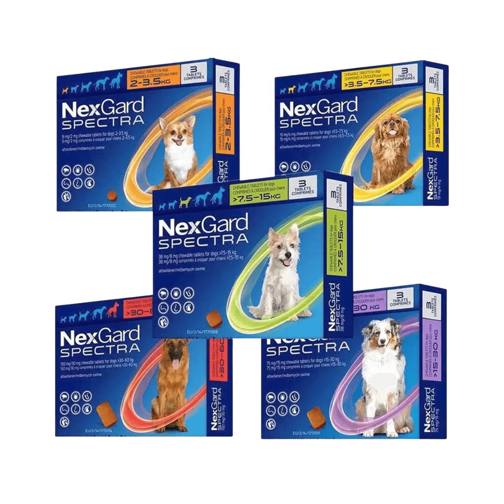 Desparasitante Nexgard